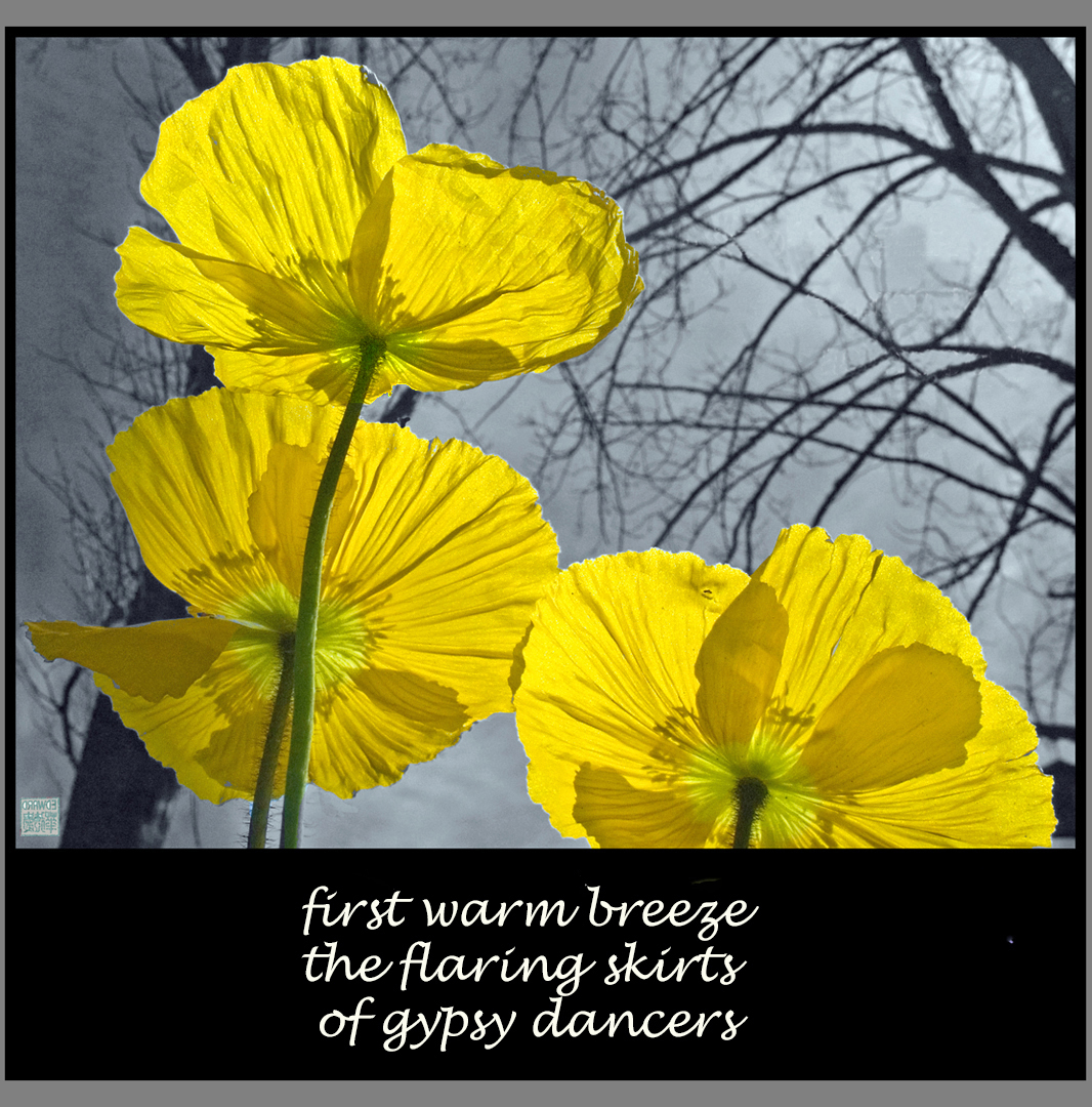 EG-01-Gypsy-Dancers-Haiga